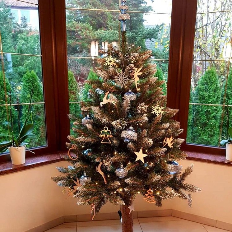 Choinka na pniu świerk diamentowy