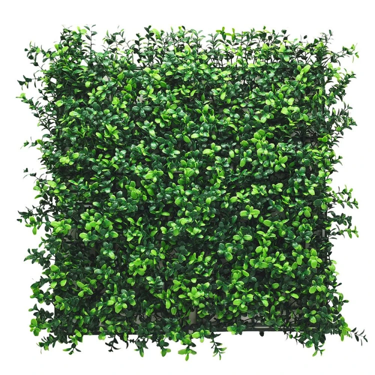 Panel zieleni bukszpan.