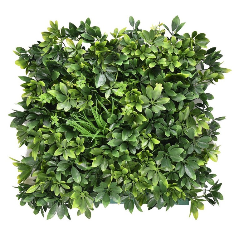 Panel zieleni 50x50 cm.