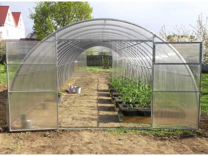 Duży tunel ogrodowy z poliwęglanu.
