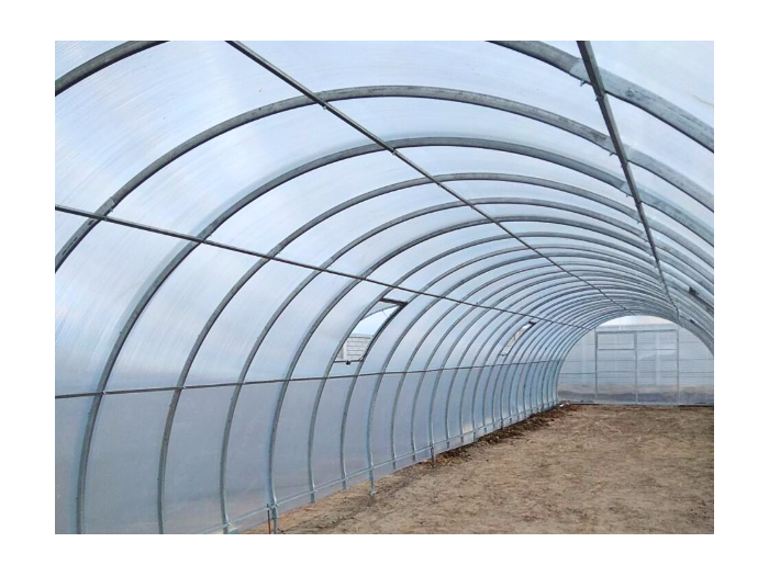 Duży tunel ogrodowy z poliwęglanu.