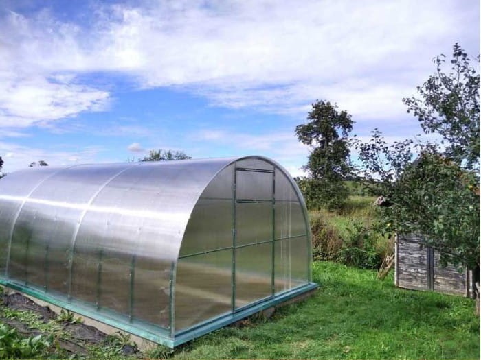 Duża szklarnia ogrodowa z poliwęglanu.