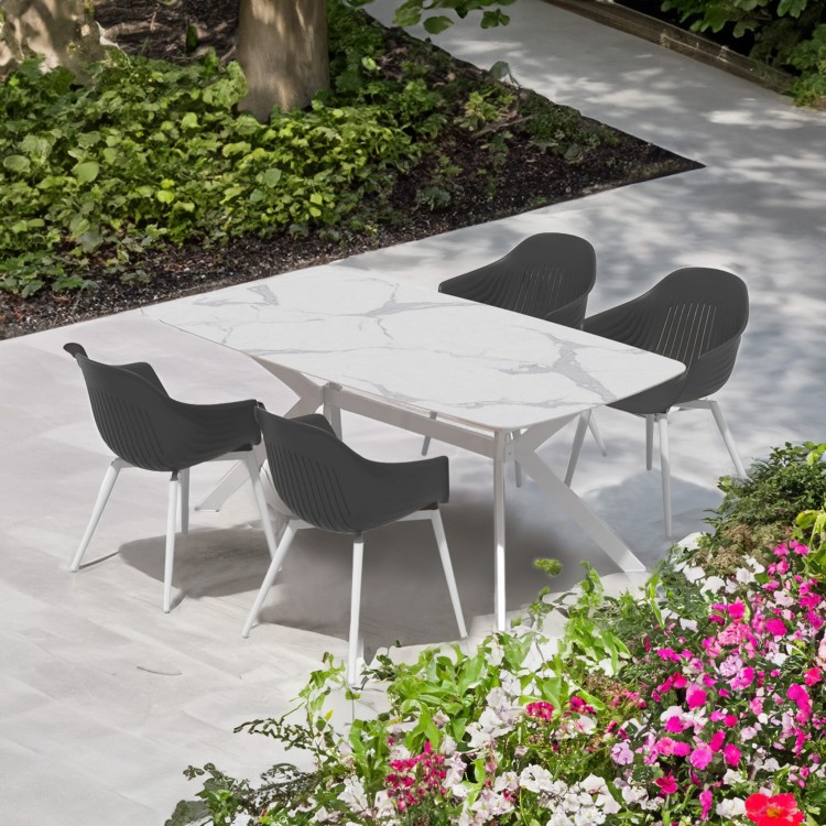 ballena 2500x2500.jpg