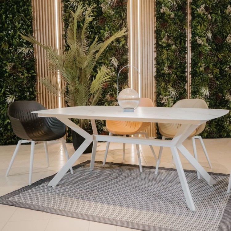 balena 2 1000x1000.jpg