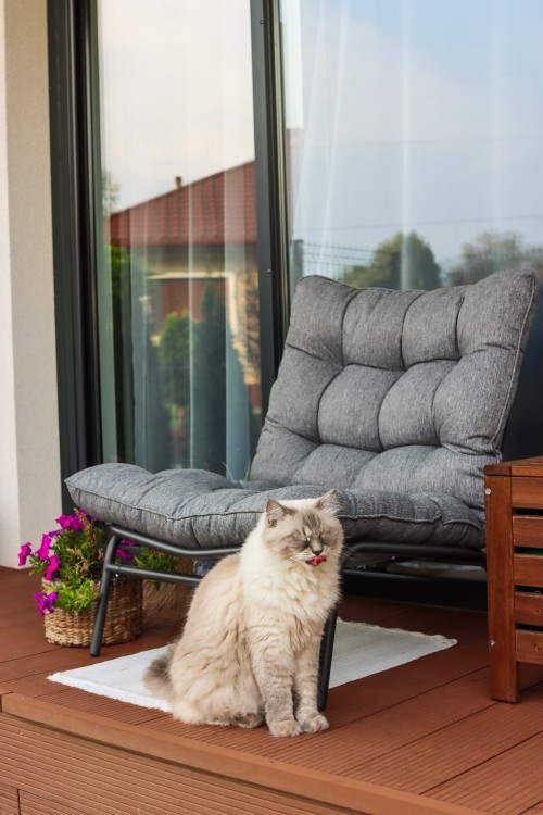 Fotel ogrodowy z grubą poduszką w szarym kolorze.