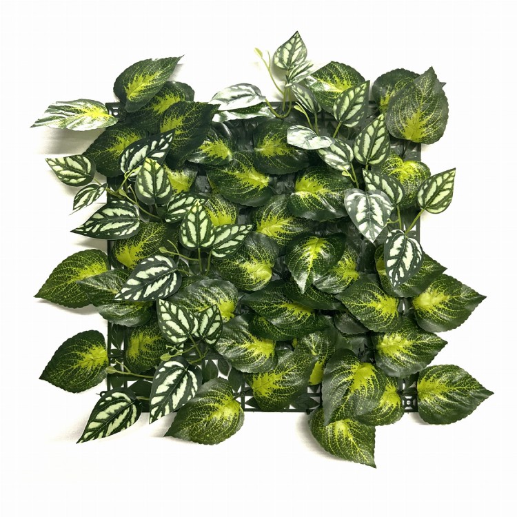 Panel zieleni Aureus.