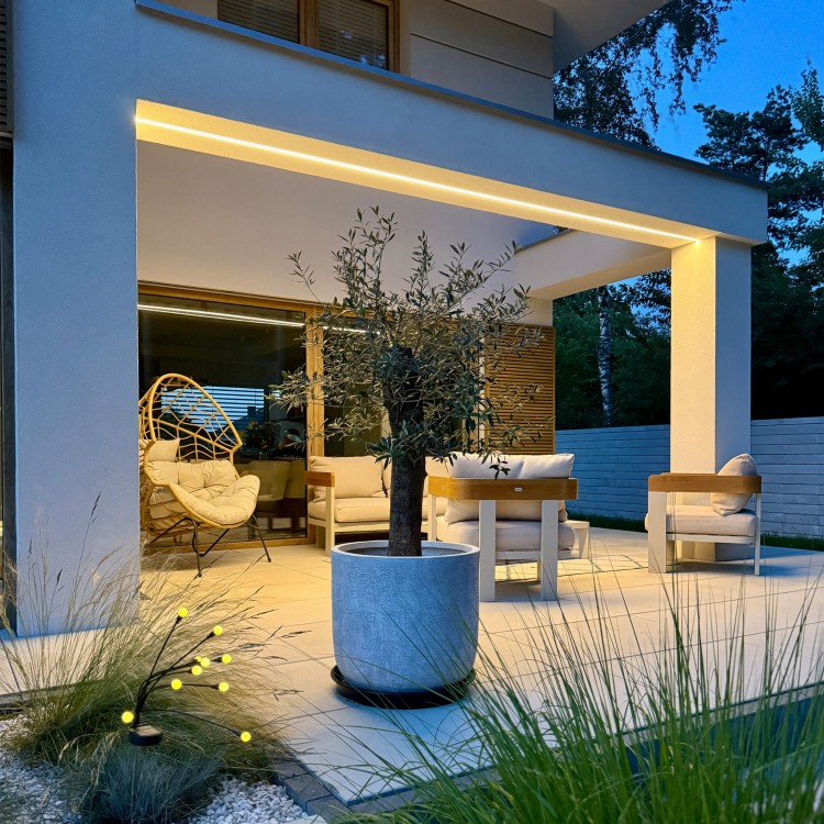 ALL_Molto_Moli_ZAPLANOWANYDOM (2).jpg