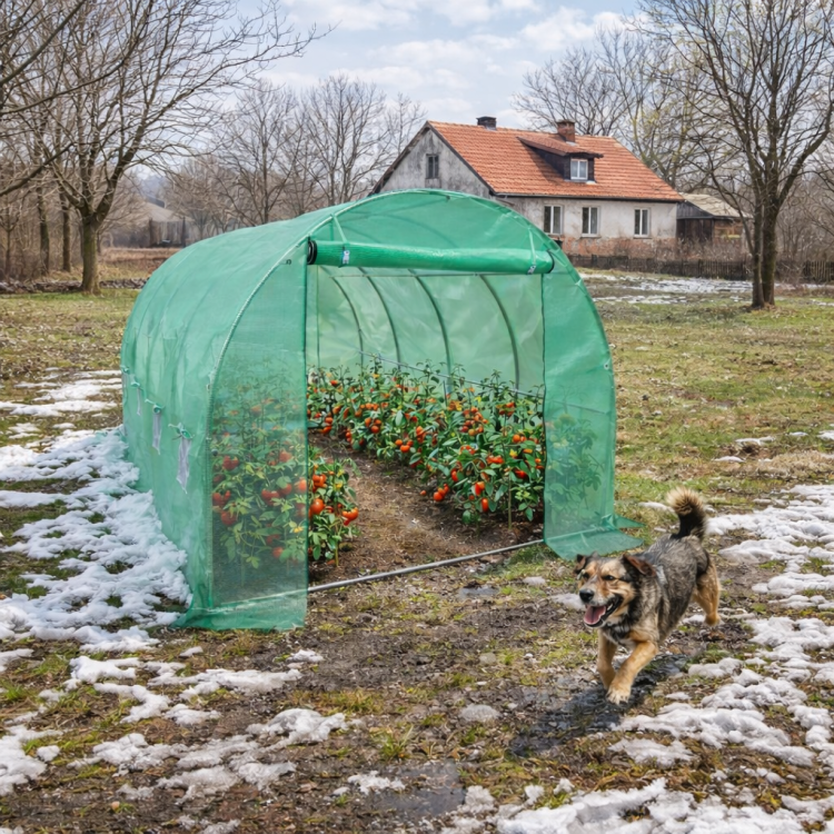 Zapasowa folia do szklarni ogrodowej.