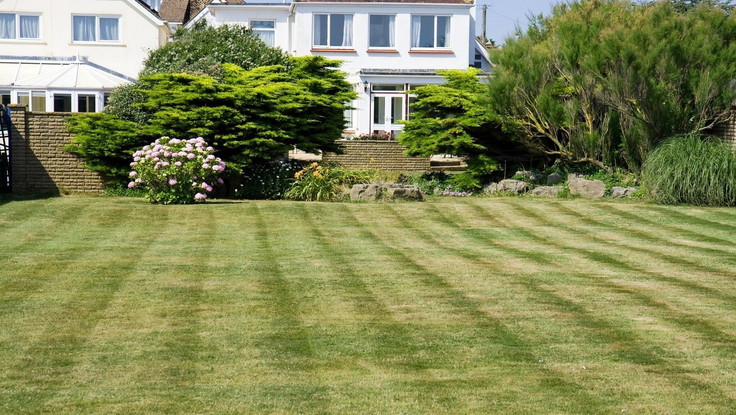 Rekultywacja trawnika - trawnik w ogrodzie.