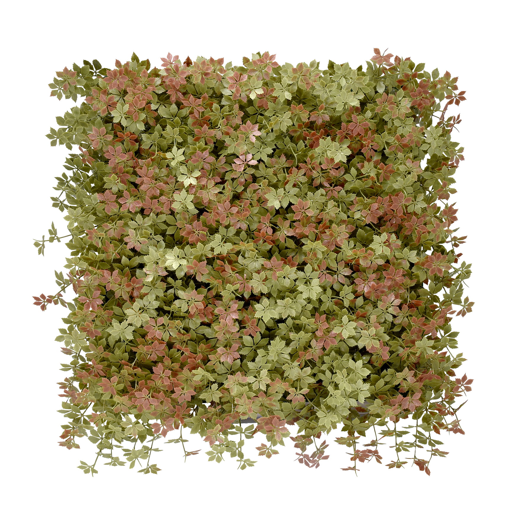 PANEL KOLOROWYCH ROŚLIN JIAOGULAN 50X50 CM