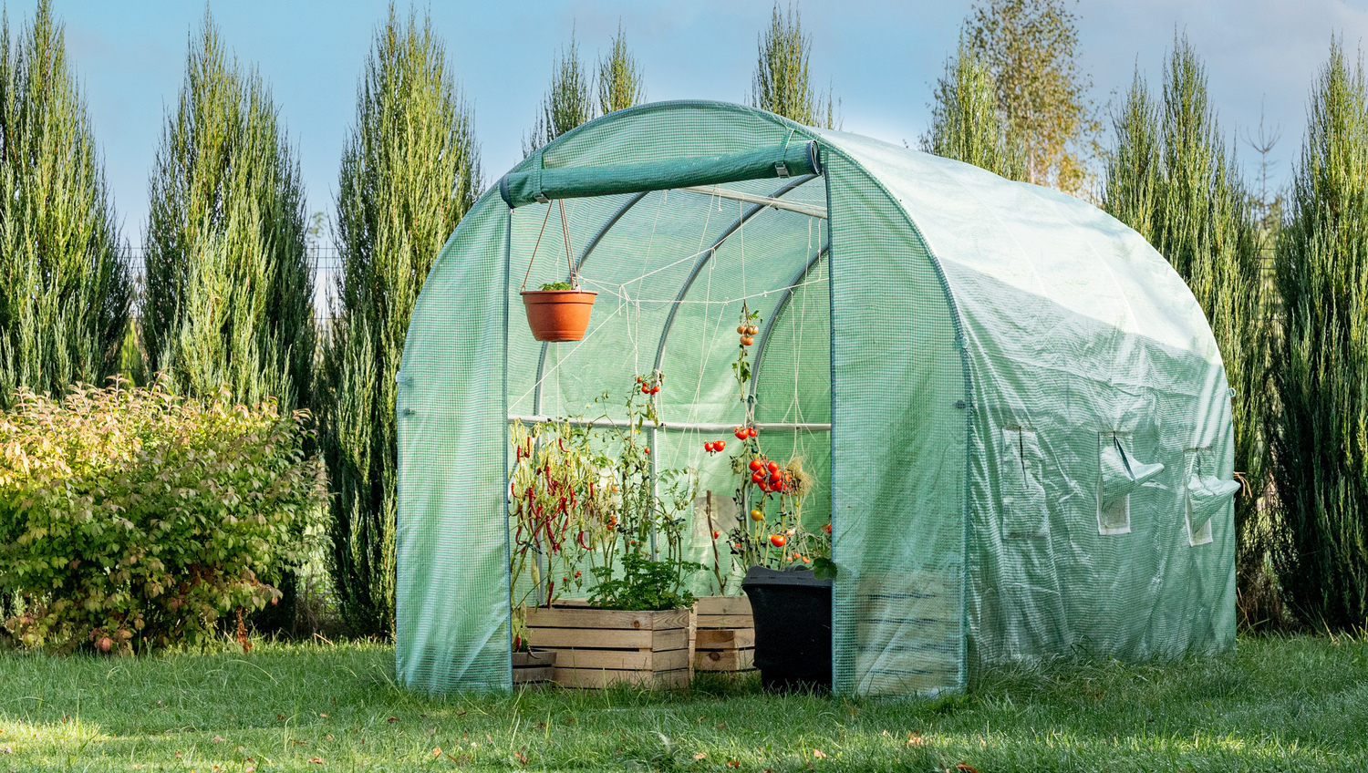 Tunele ogrodowe - doskonałe warunki do ekologicznej uprawy